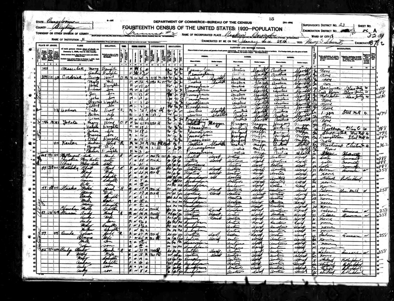 Census__Ohio_1920_1.jpg